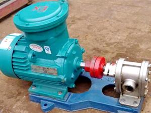 泊頭海濤泵業2CY齒輪泵-2CY系列不銹鋼齒輪泵