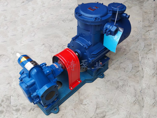 高粘度轉子泵-NYP型內環式高粘度轉子泵