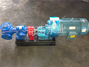 泊頭海濤泵業高粘度轉子泵廠家-NCB系列高粘度轉子泵