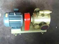 保溫螺桿泵-衛生級螺桿泵-3GF螺桿泵